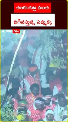 చిలకలగుట్ట నుంచి .. దిగివస్తున్న సమ్మక్క
