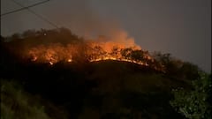 Virar Fire News: विरारच्या वैष्णवी देवी डोंगराला भीषण आग; मोठ्या प्रमाणात वनसंपदा अक्षरशः जळून खाक