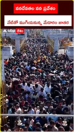 వనదేవతల వన ప్రవేశం.. నేటితో ముగియనున్న మేడారం జాతర..