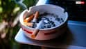 Nicotine Craving: सिगरेट का कश जाते ही क्यों मिट जाती है तलब, कैसे काम करता है निकोटीन?