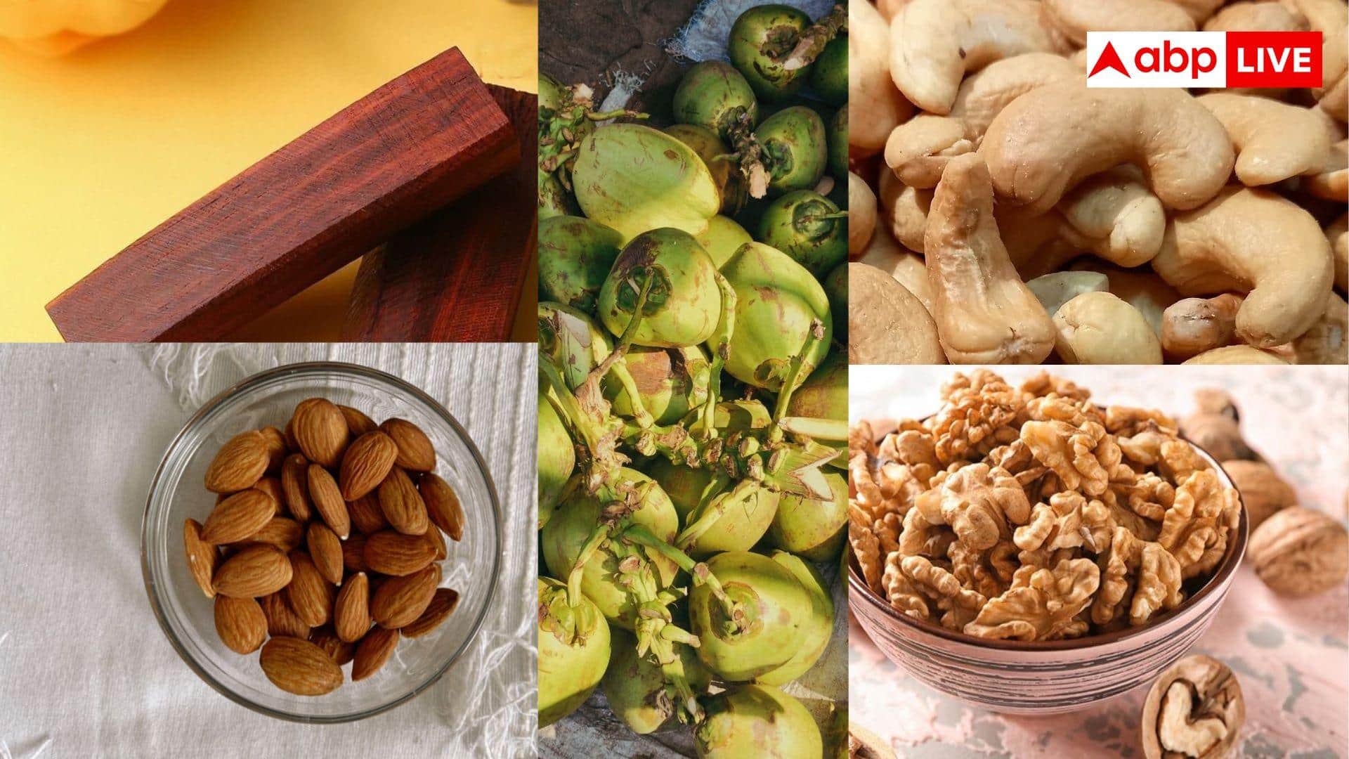 चंदन-काजू-कोको-अखरोट-बादाम और नारियल की खेती करने वालों को होगा फायदा, जानें सरकार से कैसे मिलेगी मदद?