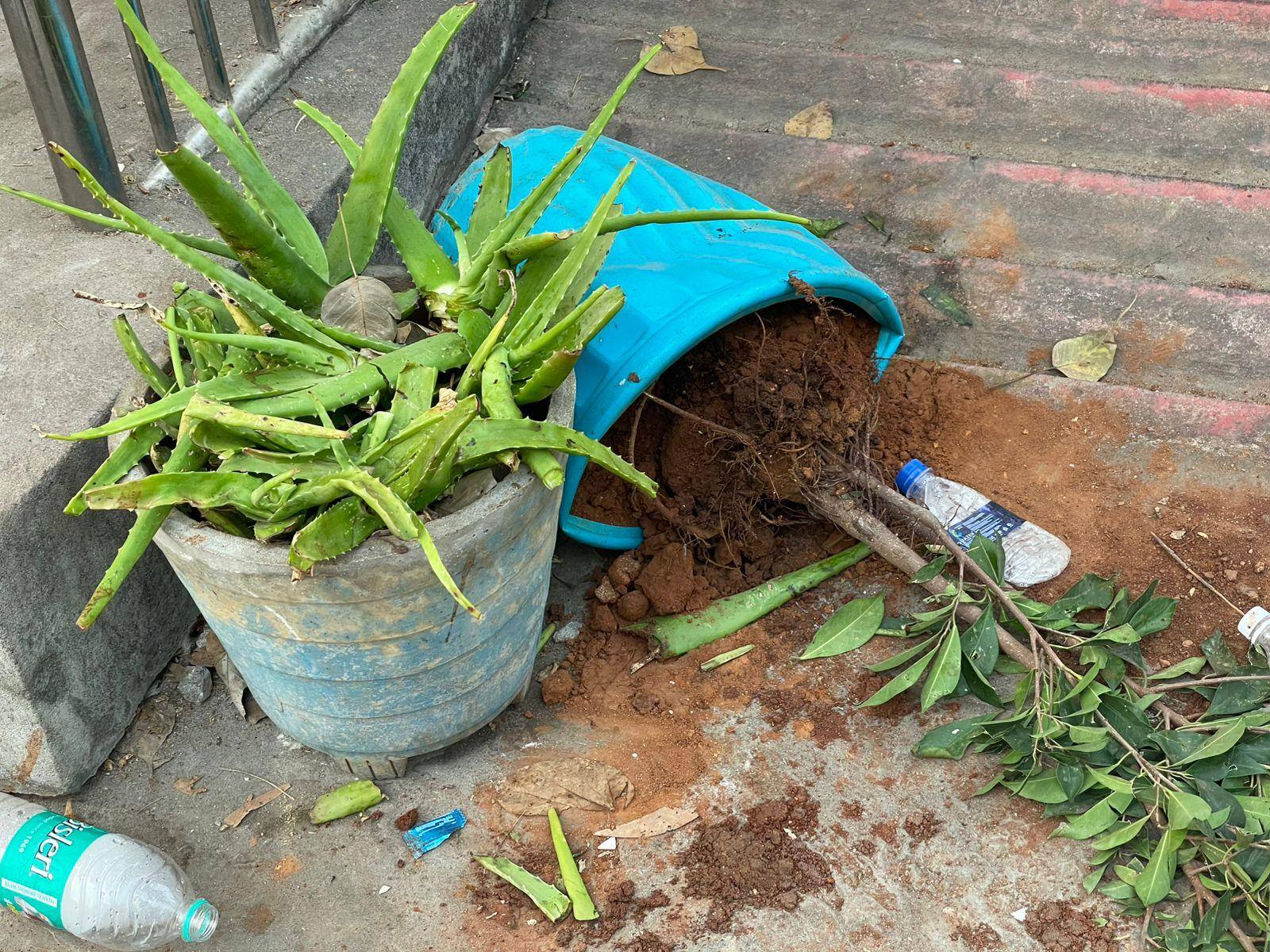 Ambati Rambabu: అంబటి రాంబాబు అరెస్ట్ తరువాత విధ్వంసం.. ఆఫీసుకు, కారుకు నిప్పుపెట్టడంతో ఉద్రిక్తత