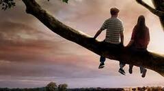 फरवरी में लगेगा एंटरटेनमेंट का जबरदस्त तड़का, इस हफ्ते Netflix पर दस्तक देंगी ये फिल्में और सीरीज