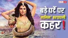 छोटे पर्दे के बाद अब 'नागिन' की होगी थिएटर में एंट्री? एकता कपूर ने बनाया मास्टरप्लान