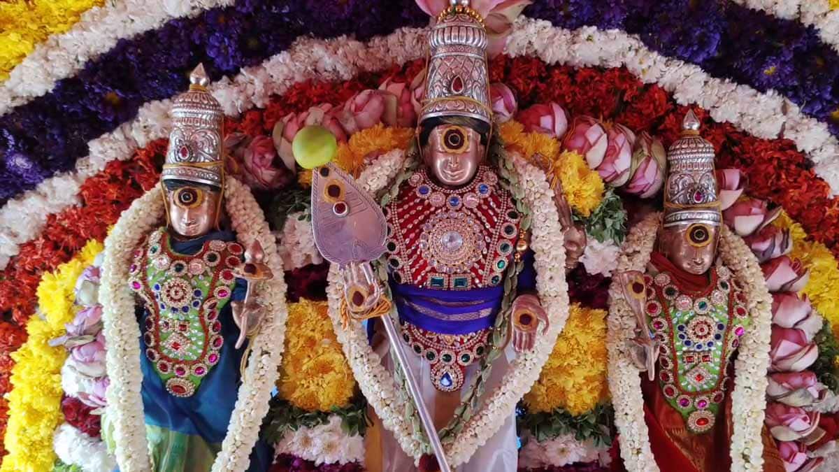 பழனி தைப்பூச திருவிழா: முத்துக்குமாரசாமி திருக்கல்யாணம், தேரோட்டம்! பக்தர்கள் பரவசம்!