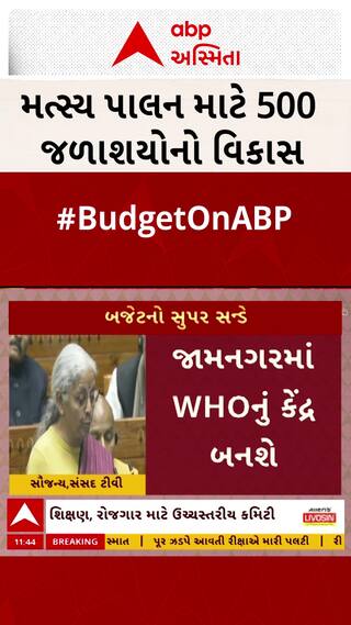Budget 2026: મત્સ્ય પાલન માટે 500 જળાશયોનો વિકાસ: નાણામંત્રીની મોટી જાહેરાત