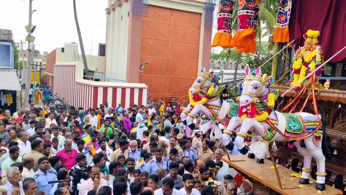 பழனி தைப்பூச திருவிழா: முத்துக்குமாரசாமி திருக்கல்யாணம், தேரோட்டம்! பக்தர்கள் பரவசம்!