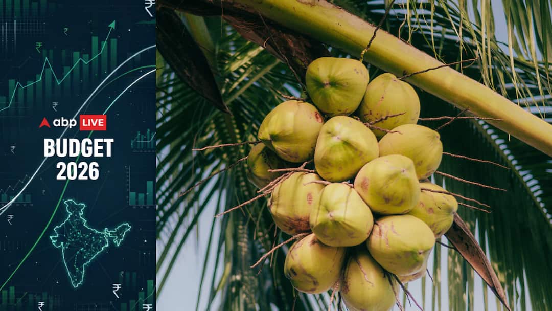 Union Budget 2026: Coconut Production Scheme Announced, Here’s What It Means Union Budget 2026: Coconut Production Scheme Announced, Here’s What It Means