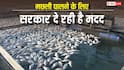 मछली पालने के लिए बनाना है अमृत सरोवर, जानें सरकार कैसे देगी कारोबार शुरू करने के लिए पैसा?