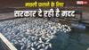 मछली पालने के लिए बनाना है अमृत सरोवर, जानें सरकार कैसे देगी कारोबार शुरू करने के लिए पैसा?