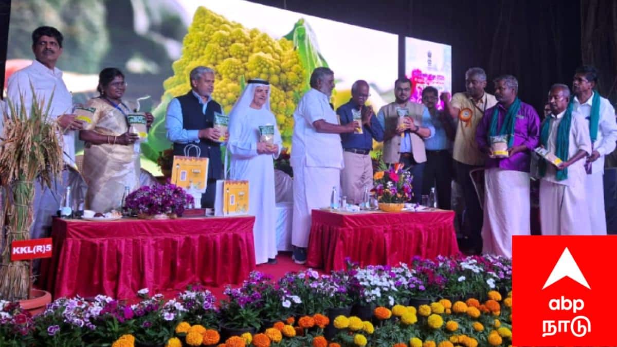 காரைக்கால் வேளாண் கல்லூரியின் புதிய சாதனை: 'காரைக்கால் 5' நெல் ரகம் அறிமுகம்.. விவசாயிகள் மகிழ்ச்சி