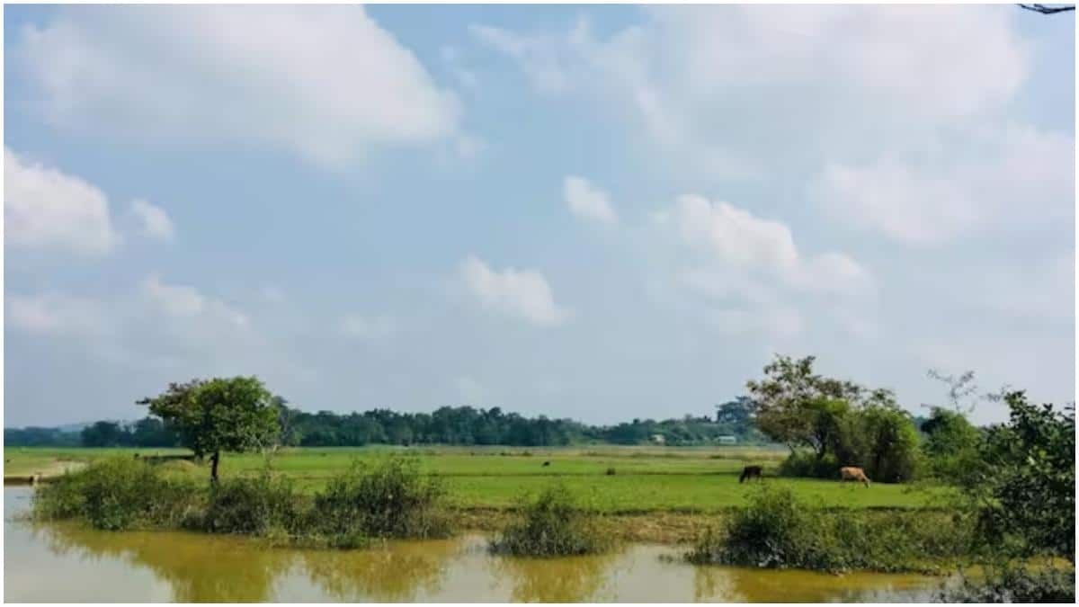 Budget Travel Destinations : ఖర్చు తక్కువ.. అనుభవం ఎక్కువ! ఇండియాలో బడ్జెట్ ట్రావెల్ ప్లేస్‌లు