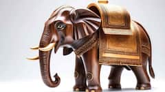 Vastu Tips: ઘરના મધ્ય ભાગમાં આ 4 વસ્તુઓ રાખવાથી મુશ્કેલીઓ થશે દૂર અને મળશે ધનલાભ