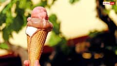 Ice Cream History : ఐస్ క్రీం ఎలా పుట్టింది? వేయేళ్ల క్రితం మొదలైన స్వీట్ కథ.. మొదట్లో ఎలా ఉండేదంటే