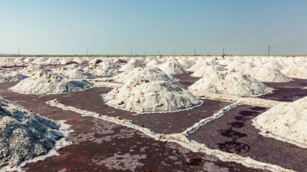 (Image Source: Canva)