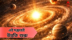 চাকরিতেই আর্থিক উন্নতি, বসের সুনজরে আপনি, এই সপ্তাহে সাফল্য কোন তিন রাশির?