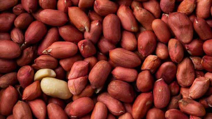 મગફળીમાં કેલ્શિયમ, આયરન, ઝિંક, પોટેશિયમ અને મેગ્નેશિયમ જેવા મહત્વપૂર્ણ પોષક તત્વો અને મિનરલ્સની હોય છે. જે શરીરના વિકાસ માટે જરૂરી છે.