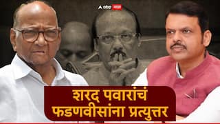 Sharad Pawar on NCP Merger: राष्ट्रवादीच्या विलीनीकरणाच्या चर्चेत नव्हते त्यांना बैठकीबाबत काय माहिती? शरद पवारांनी फडणवीसांसह अजितदादा गटाच्या नेत्यांना खडसावलं?