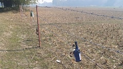 बॉर्डर पर लगे तारों पर कांच की खाली बोतलें क्यों टांगी जाती हैं, क्या है इसकी वजह?