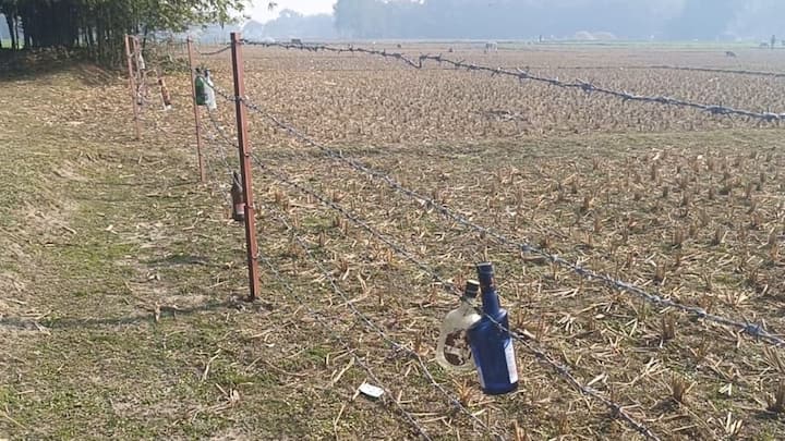 जब कोई व्यक्ति, घुसपैठिया या जंगली जानवर तारों को छूता है या पार करने की कोशिश करता है, तो लटकी हुई बोतलें आपस में टकराने लगती हैं. कांच की टकराहट से तेज खनक पैदा होती है.