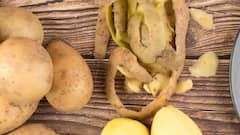 Potato Peel Benefits: બટાટાના છાલમાં છૂપાયેલો છે પોષણનો ખજાનો, જાણો તેના 4 અદભૂત ફાયદા