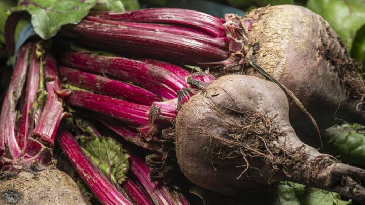 ब्लूबेरी, पालक और चुकंदर जैसे खाद्य पदार्थ विटामिन बी12 से भरपूर होते हैं। इन खाद्य पदार्थों को अपने आहार में शामिल करने से आपको अपने शरीर के लिए आवश्यक पोषक तत्व प्राप्त करने में मदद मिल सकती है।