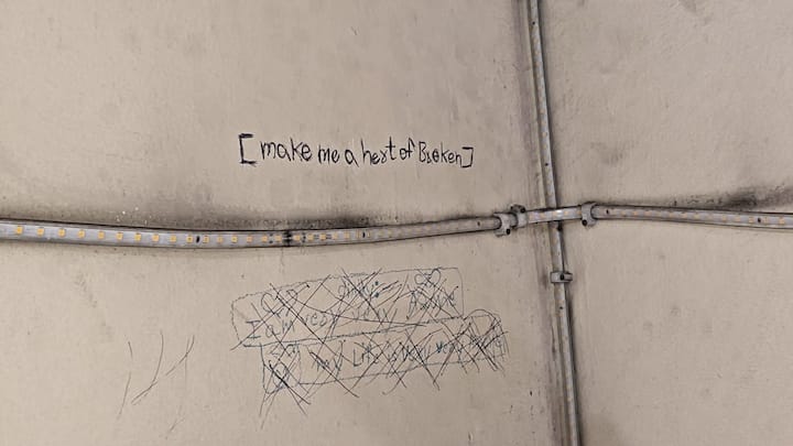 इसके बाद के पन्नों में कोरियन भाषा का इस्तेमाल किया गया है, जिसमें गेम, मोबाइल फोन और यह बात लिखी है कि परिवार ने फोन ले लिया था. डायरी में लड़कियों ने अपने नाम भी कोरियन भाषा में लिखे हुए हैं.