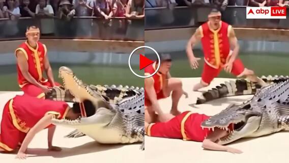 Video: खेल दिखाते दिखाते मौत के मुंह में गया कलाकार! मगरमच्छ ने दबोच लिया सिर- वीडियो देख कांप उठेगी रूह Video: खेल दिखाते दिखाते मौत के मुंह में गया कलाकार! मगरमच्छ ने दबोच लिया सिर- वीडियो देख कांप उठेगी रूह