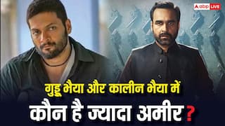 गुड्डू भैया या कालीन भैया, 'मिर्जापुर' के किस एक्टर के पास है ज्यादा दौलत, देख लें नेटवर्थ