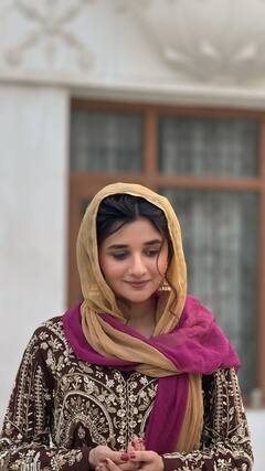 अपनी उम्र से बड़ी 3 बहुओं की सास बन कभी इस हसीना को मिली थी पॉपुलैरिटी, अब 'नागिन 7' में मचाएंगी धमाल