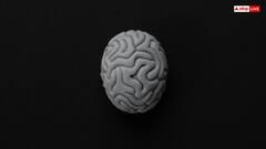 Brain Store : మెదడు 300 ఏళ్ల టీవీ కంటెంట్​ని స్టోర్ చేస్తాదట.. వినడానికి బాగానే ఉంటుంది కానీ మీకు ఎన్ని గుర్తుంటాయి?