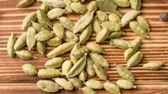 Cardamom Health Benefits: ઈલાયચી કયા અંગો માટે ફાયદાકારક હોય છે?