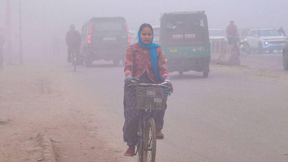 Dense Fog, Biting Cold Grip Delhi As Visibility Drops To 50 Metres; Yellow Alert Issued