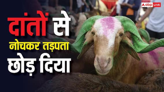 50 जिंदा बकरों को दांत से काटा, फिर तड़प कर मरने छोड़ दिया, तेलंगाना में बलि क्रूरता की हदें पार