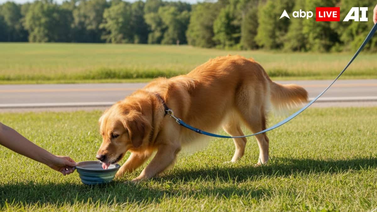 (Image Source: ABPLIVE AI)