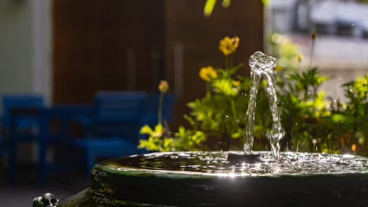 वास्तु शास्त्र के अनुसार, यदि आप आर्थिक रूप से समृद्ध होना चाहते हैं, तो आपको अपने घर में एक छोटा सा पानी का फव्वारा रखना चाहिए।