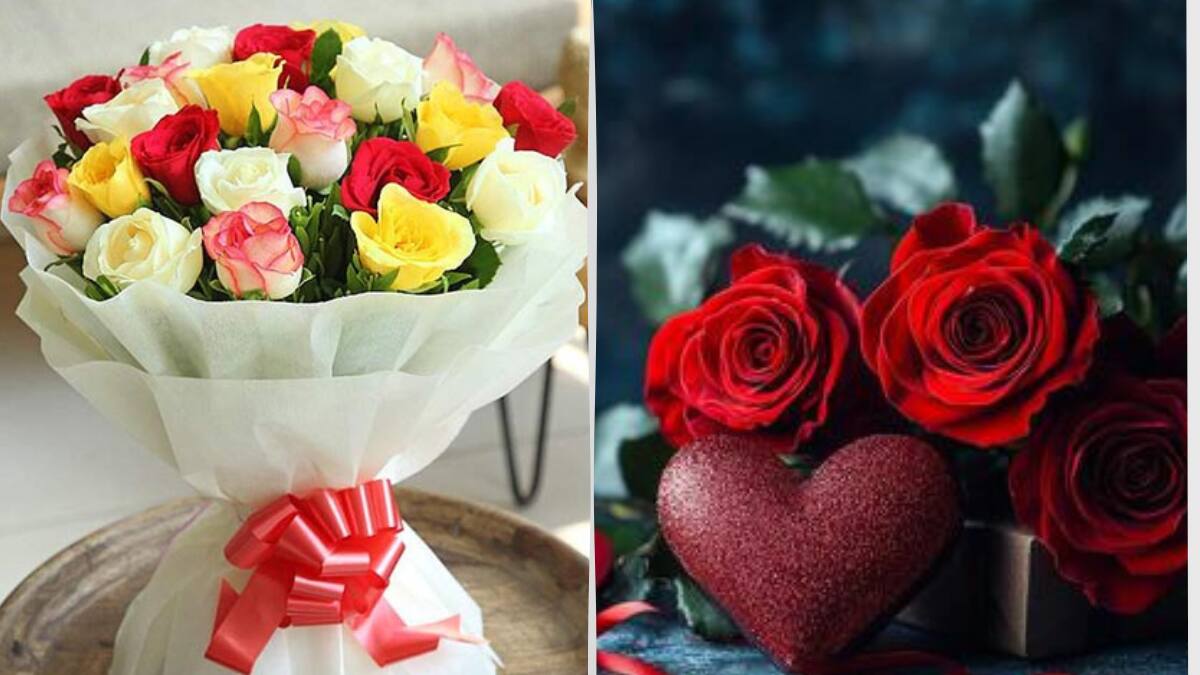 Happy Rose Day 2026 Wishes: என் ரோஜா நீயா! காதலை மலர்களால் வெளிப்படுத்தும் நாள்! ரோஸ் டே வாழ்த்துகள்
