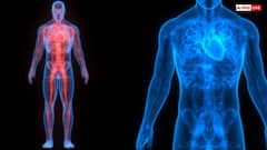 Human Survival Limits: बिना खाए-पिए कितने दिन तक जिंदा रह सकता है इंसान, क्या है ह्यूमन बॉडी की कैपेसिटी?