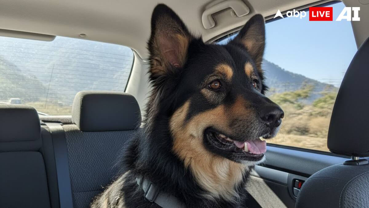 (Image Source: ABPLIVE AI)