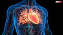 Human Survival Limits: ખાધા-પીધા વિના કેટલા દિવસ જીવતો રહી શકે છે માણસ, શું છે હ્યૂમન બૉડીની કેપેસિટી ?