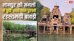 नागपुर के जंगलों में छुपी 1000 साल पुरानी कर्पूर बावड़ी, जिसका पानी कभी नहीं सूखता!