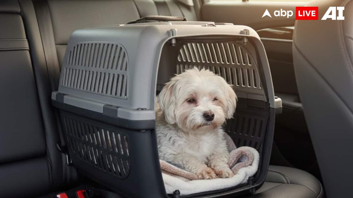 (Image Source: ABPLIVE AI)