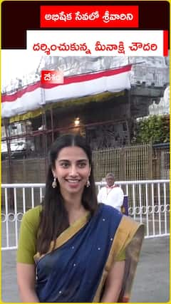 అభిషేక సేవలో శ్రీవారిని .. దర్శించుకున్న మీనాక్షి చౌదరి