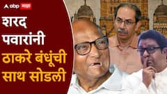 शरद पवारांनी ठाकरे बंधूंची साथ सोडली; मुंबई महानगरपालिकेत मोठी घडामोड, नेमकं काय घडलं?