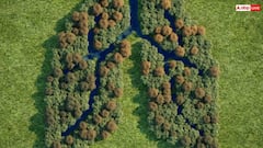 Earth Oxygen: पृथ्वी पर पेड़ों से नहीं बल्कि इस चीज से मिलती है सबसे ज्यादा ऑक्सीजन, जानें क्या कहता है साइंस