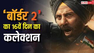 Border 2 Box Office Day 16 Live: 'बॉर्डर 2' का कोहराम जारी, 16वें दिन भी भर भरकर कमा रही नोट, जानें- 10 बजे तक का कलेक्शन