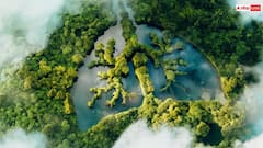 Earth Oxygen: पृथ्वी पर पेड़ों से नहीं बल्कि इस चीज से मिलती है सबसे ज्यादा ऑक्सीजन, जानें क्या कहता है साइंस