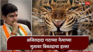Leopard Attack in Satara: साताऱ्यात अजितदादा गटाच्या नेत्याच्या मुलावर बिबट्याचा हल्ला, प्रचारासाठी जात असताना अंगावर झेपावला अन्...