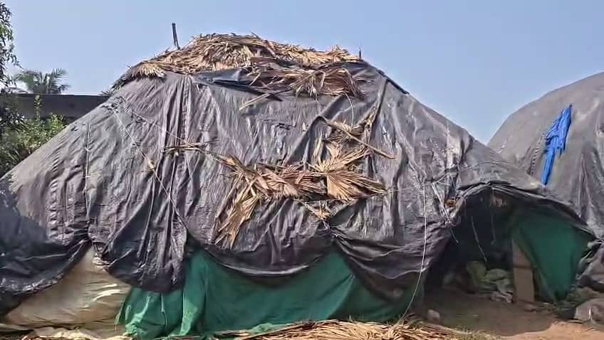Rayavaram Tiger Mystery: 4 గంటలు పక్కనే ఉన్నా, పశువులకు హాని చేయని పులి.. కూర్మాపురంలో ఘటన