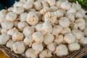 Garlic : রোজ সকালে খালি পেটে রসুন খাচ্ছেন? এই অভ্যাসের সমস্যাগুলি জেনে নেওয়া জরুরি